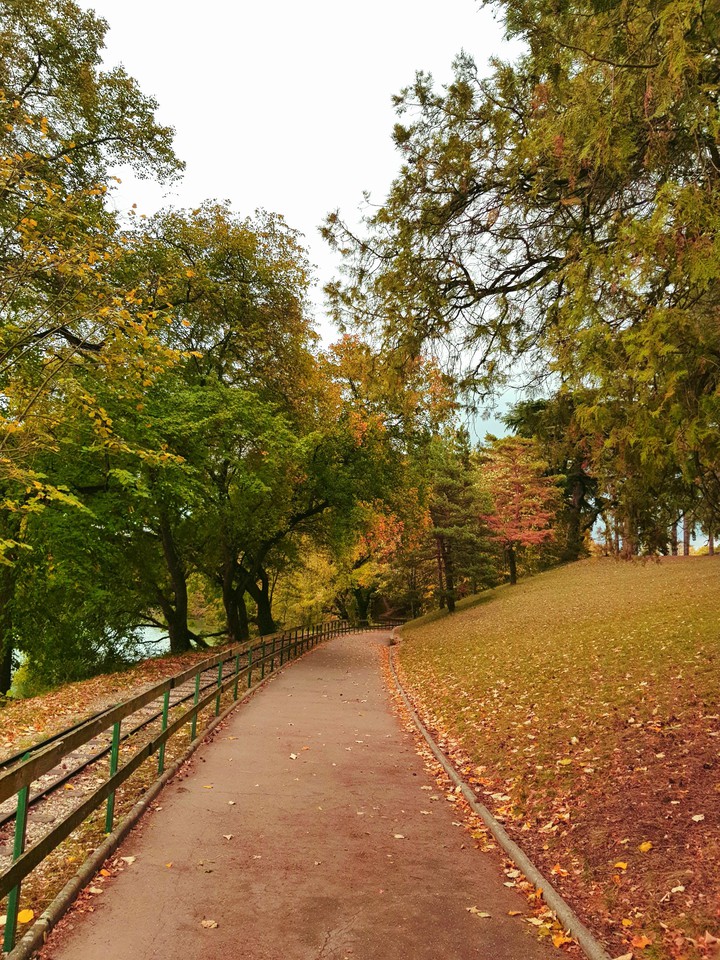 Le long d'un chemin