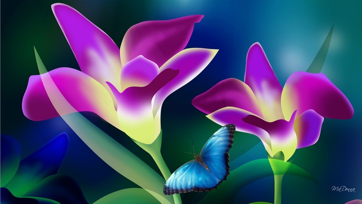 3d flowers
