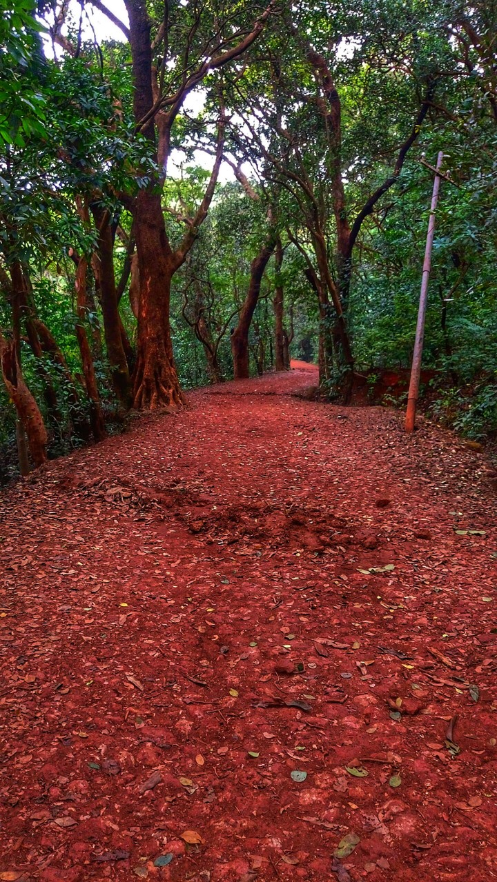 path