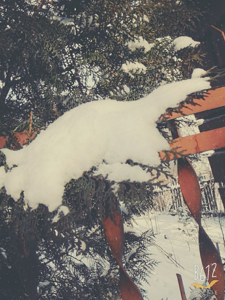 е