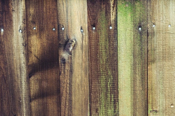 Holz