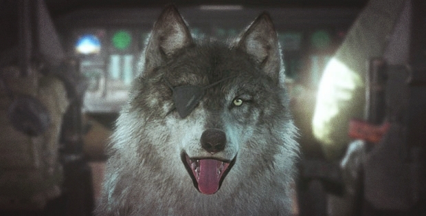 D.dog