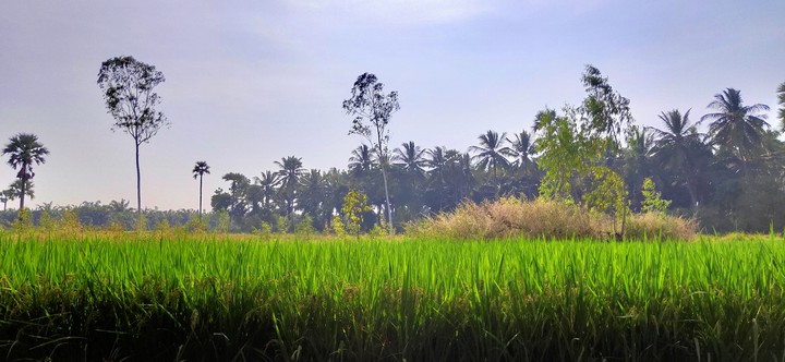 A roadtrip through villages