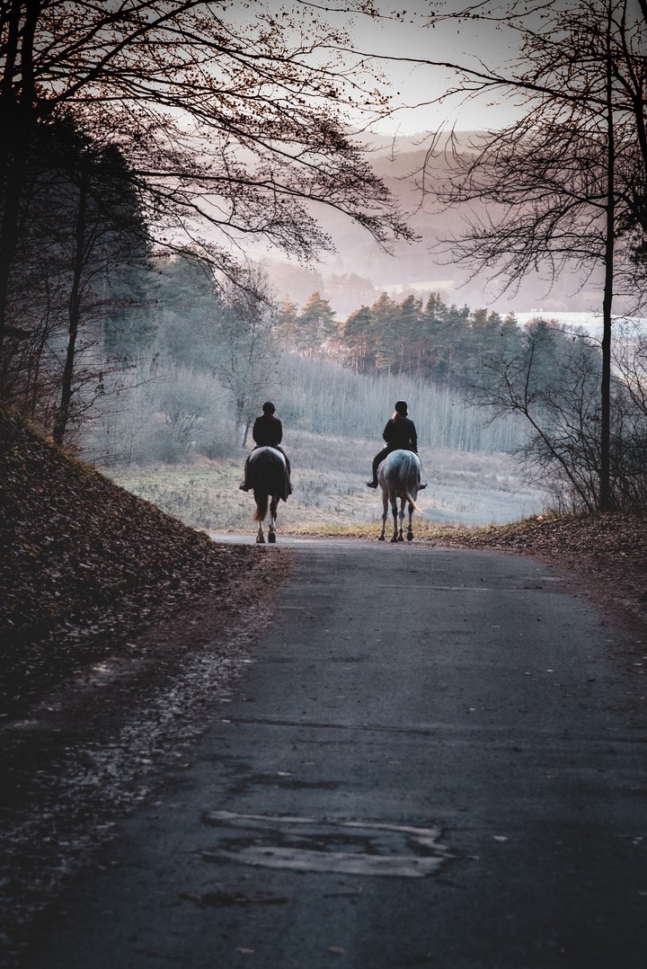 Horse