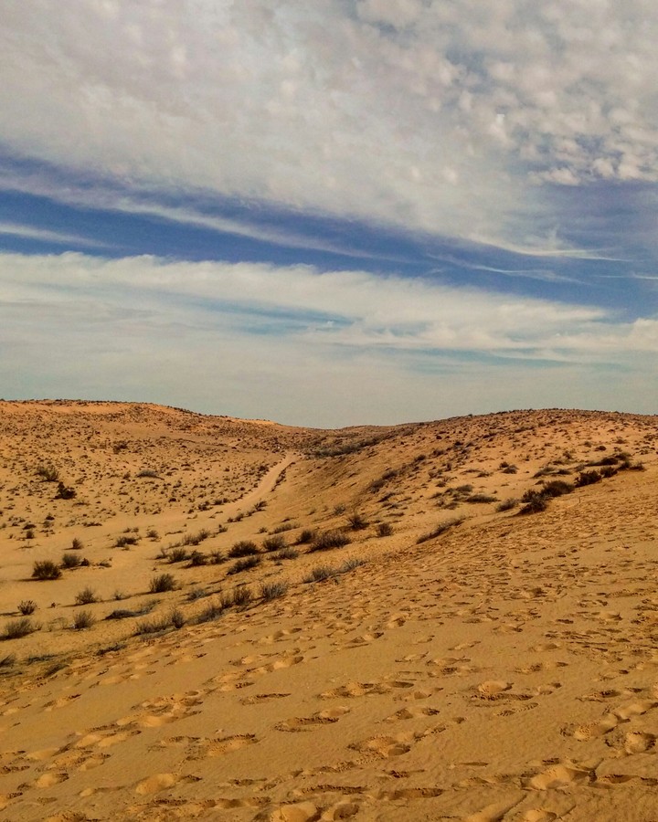 the quiet of the desert