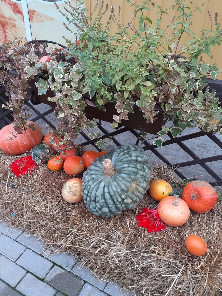Pumpkins