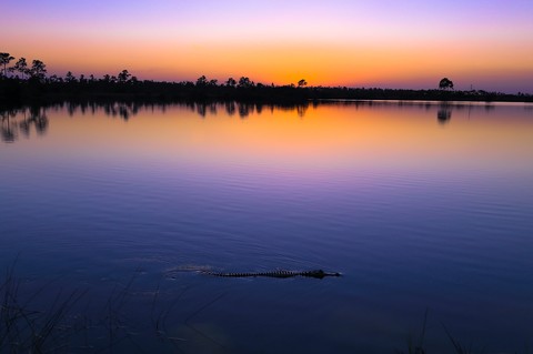 Everglades Sunset