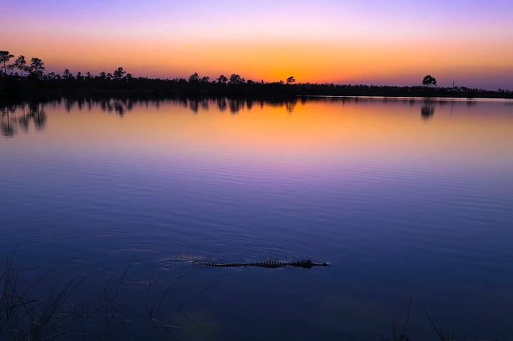 Everglades Sunset