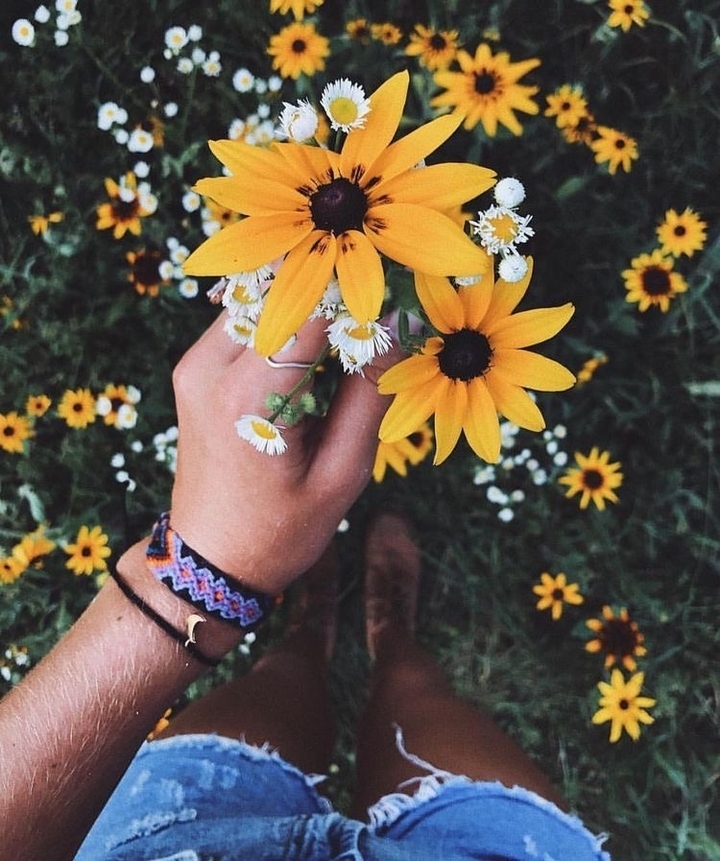 wildflowers