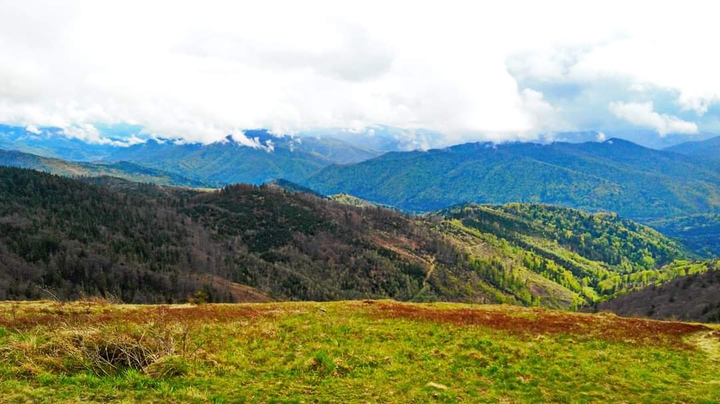 mountains