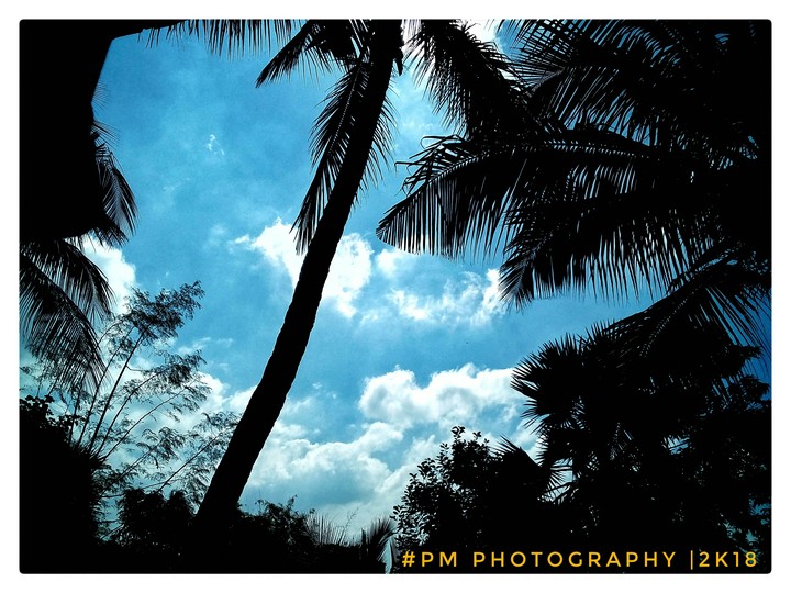 delicious sunny day