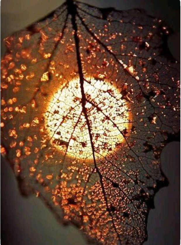 sun