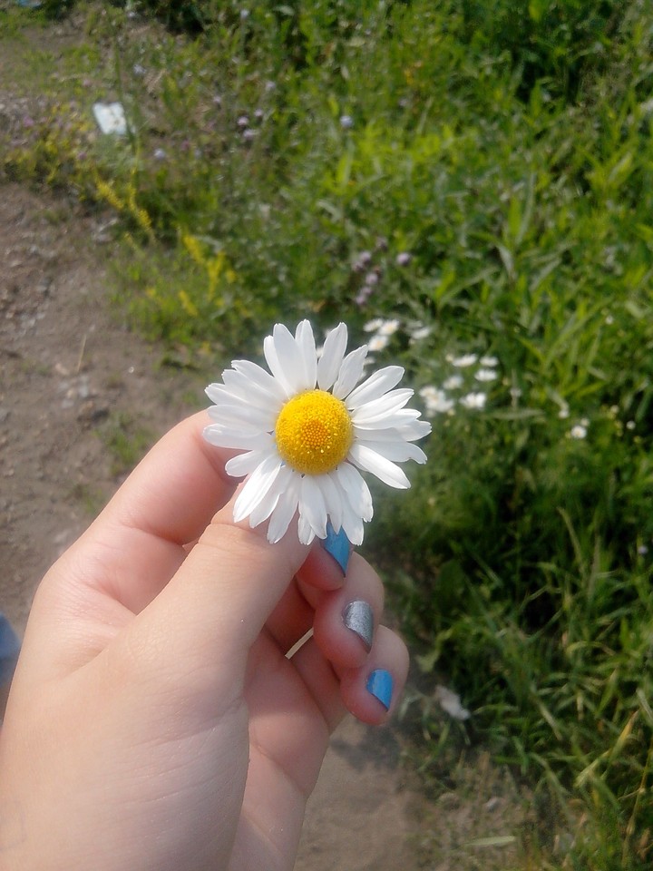 Summer time