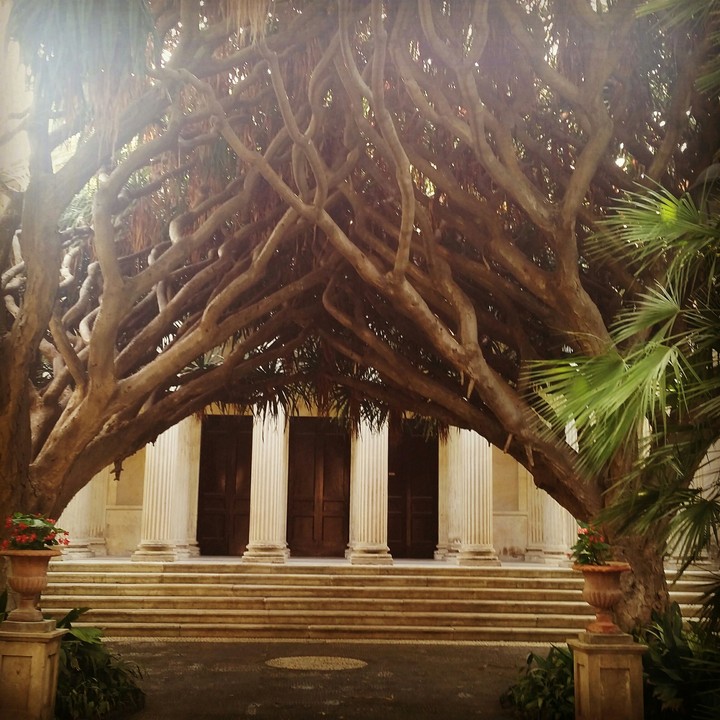 Catania's Arboretum