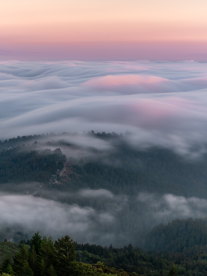 pink sky