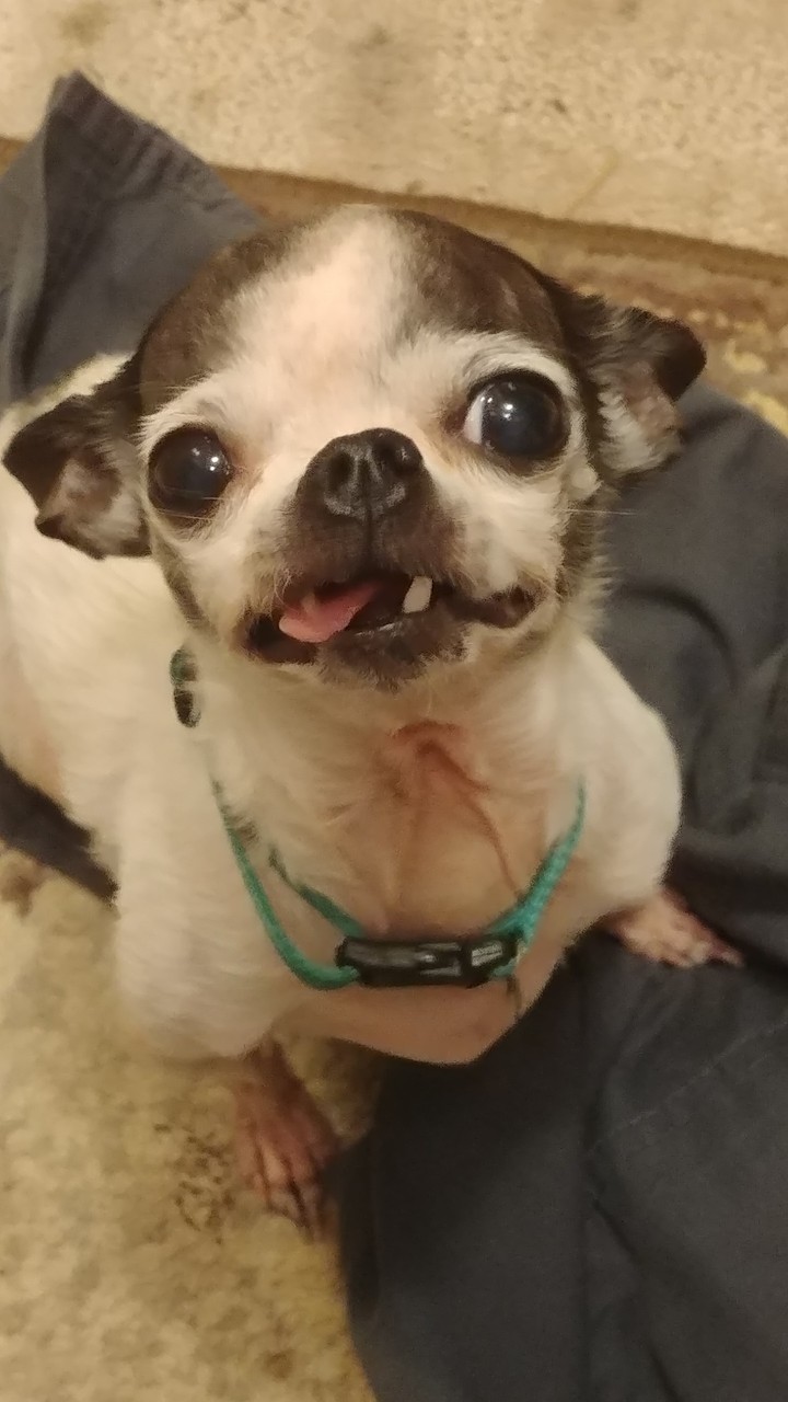 yoda3