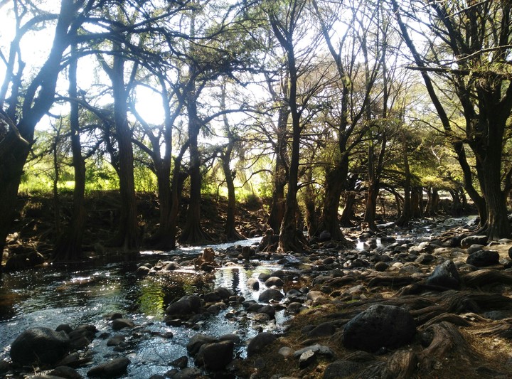 Naturaleza