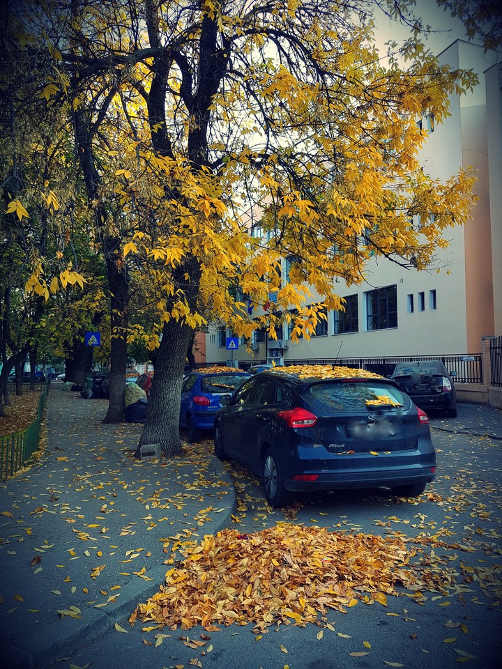 Autumn