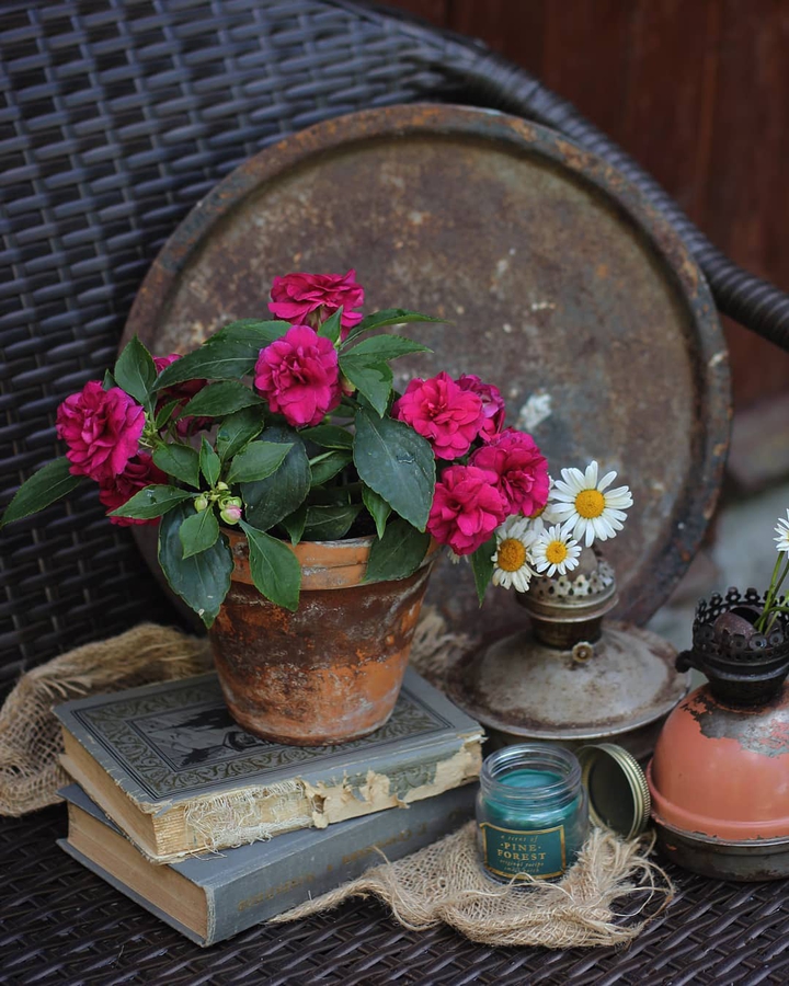 Flowers