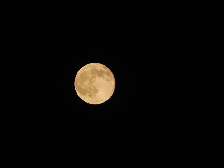 Beautiful Moon