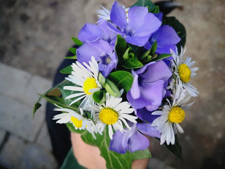Bouquet
