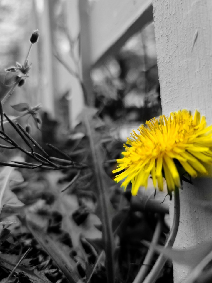 hope