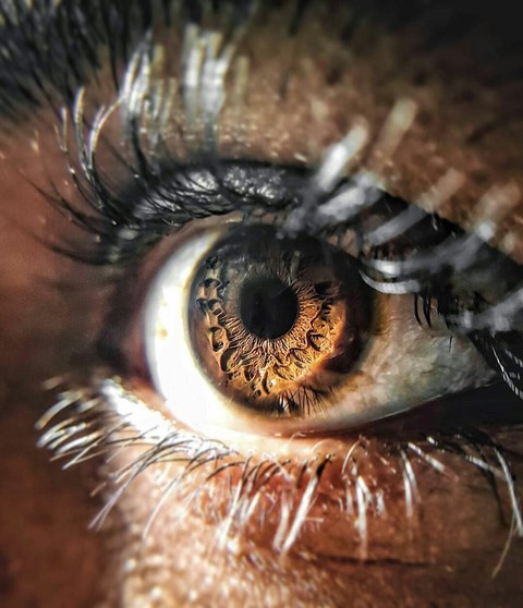 Close-up, organism Hintergrundbilder