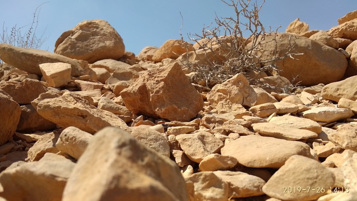 sinai