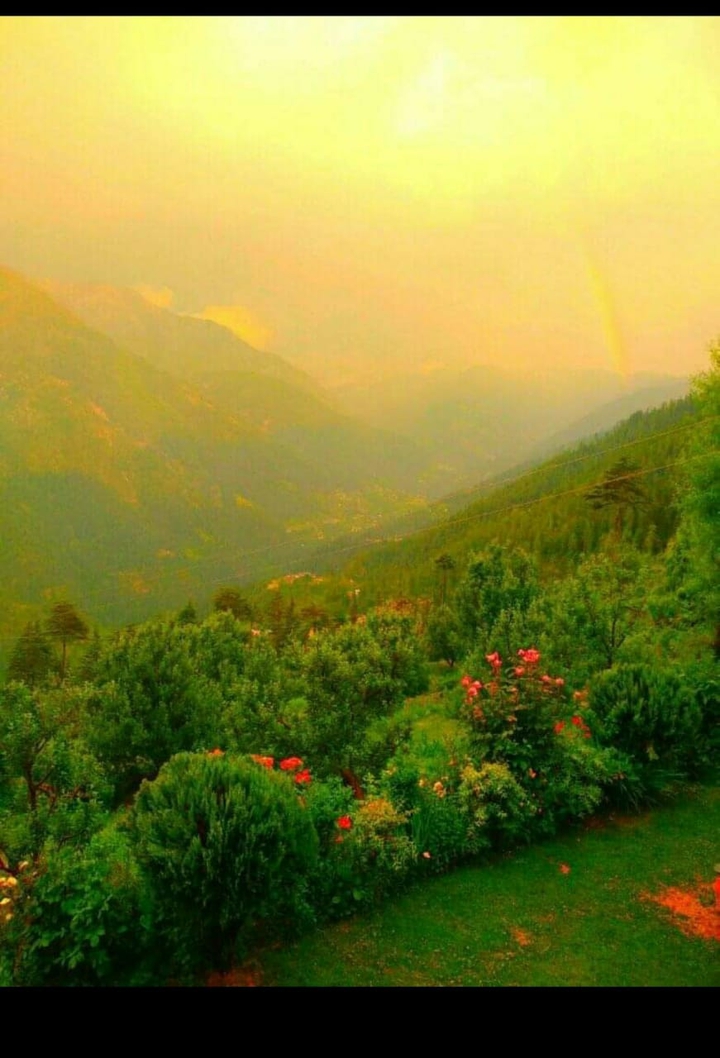 Beautiful nature, Himachal Pradesh (India)