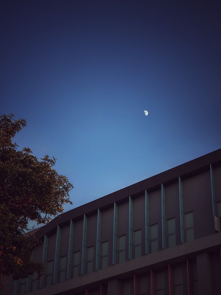 my school