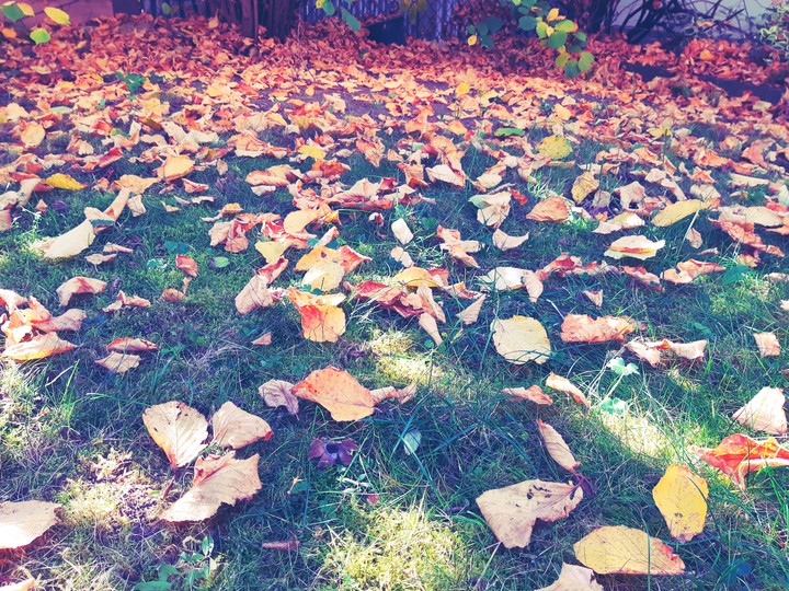Autumn! ❤
