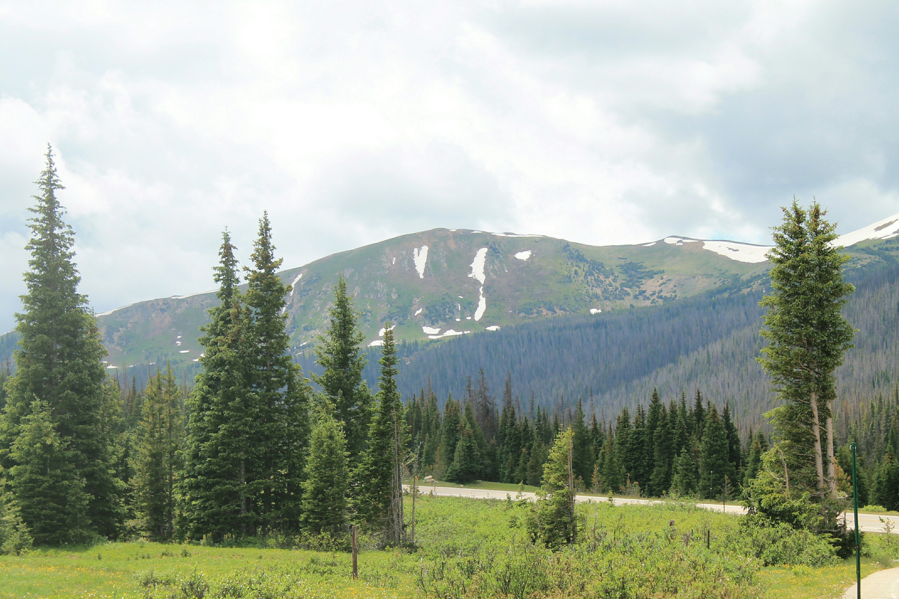 summer time in the Poudre Canyon