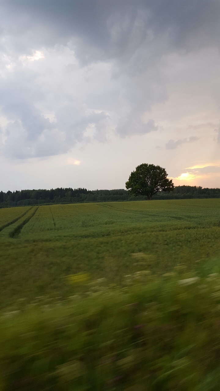 Road trip
