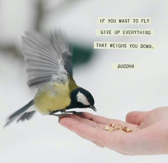 Quotes