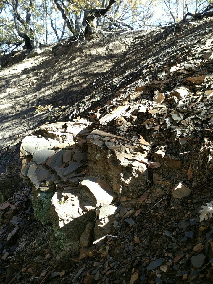 stone
