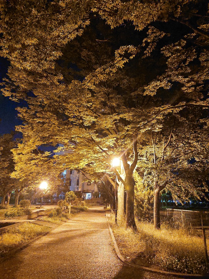 公園