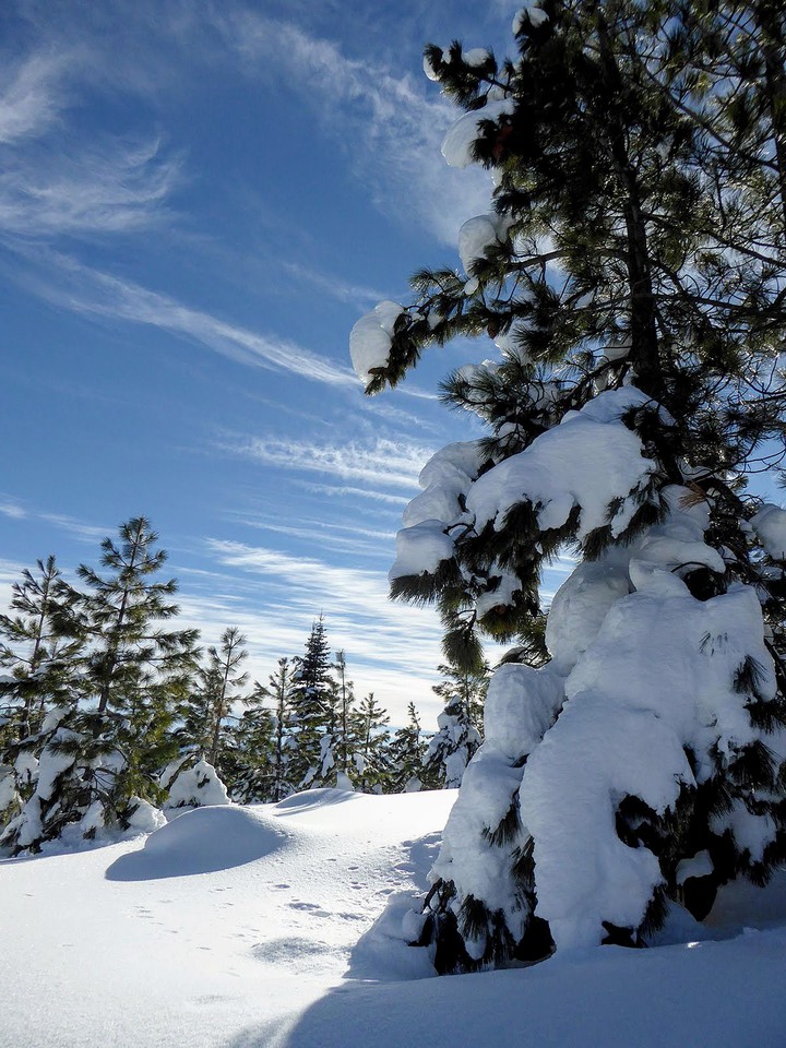 WINTRY LANDSCAPE