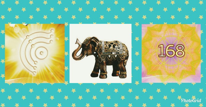 money elephant