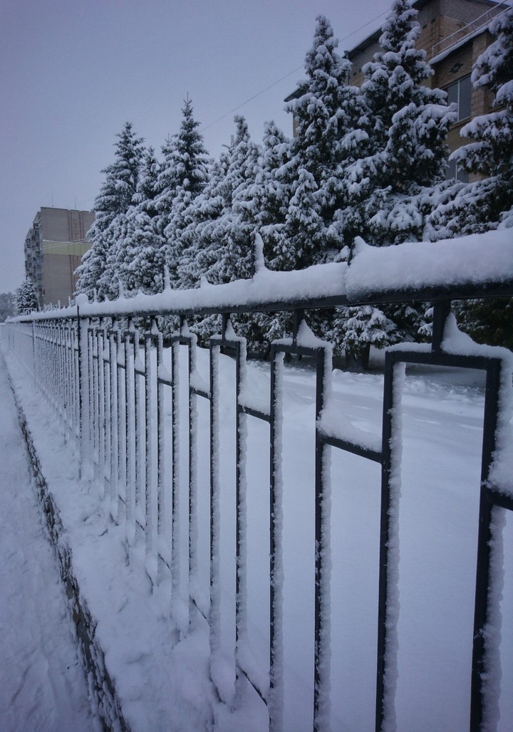 winter