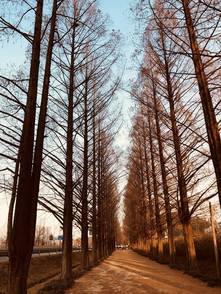 길