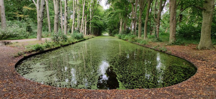 Pond