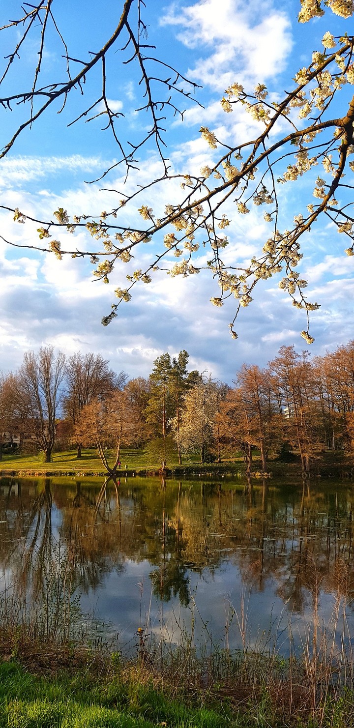 reflection by the lake-01