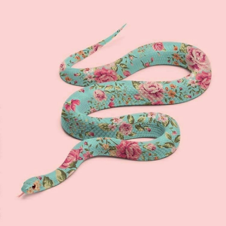 snake