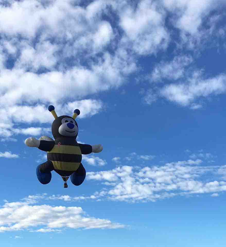 Bee Happy