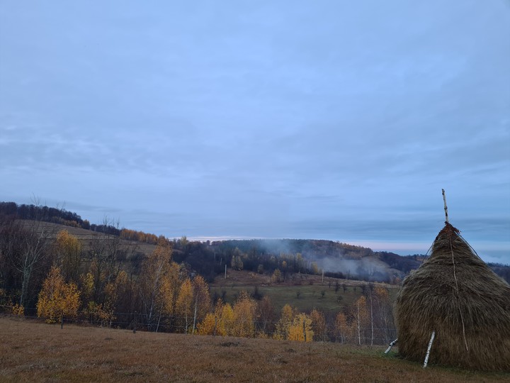 Autumn vibes