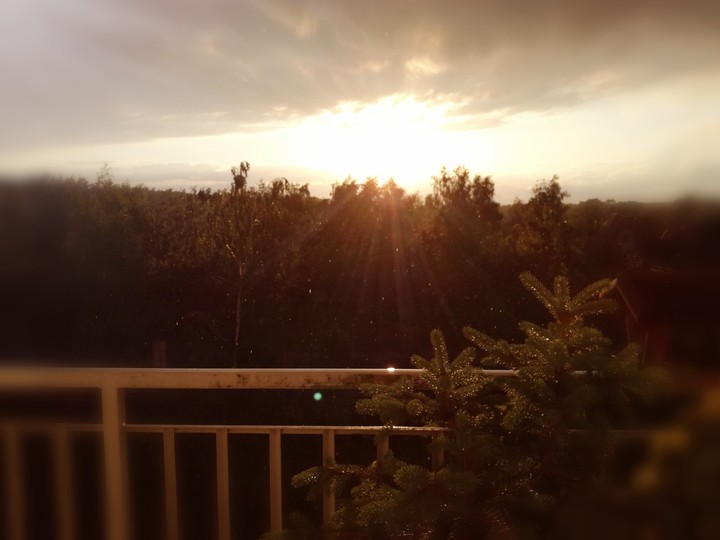 Pretty view