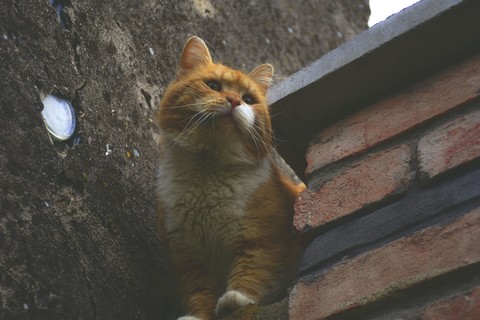 Heeey you guuuuuysss !!!!