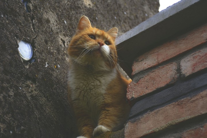 Heeey you guuuuuysss !!!!