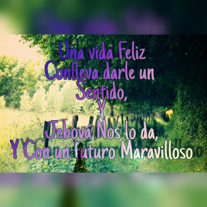 El Sentido de la Vida