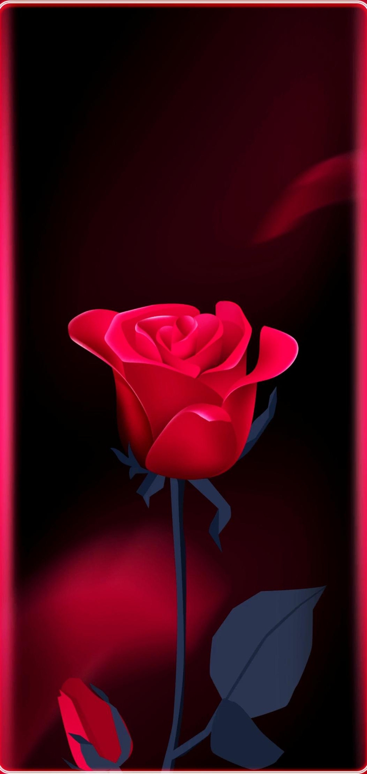 Red Rose